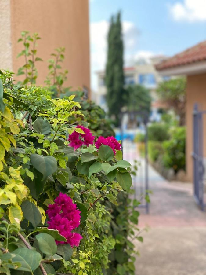 Paradise Gardens With A Large Terrace Paphos Ngoại thất bức ảnh