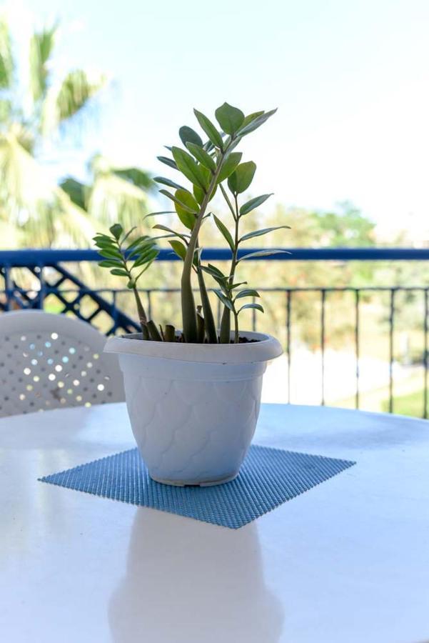 Paradise Gardens With A Large Terrace Paphos Ngoại thất bức ảnh